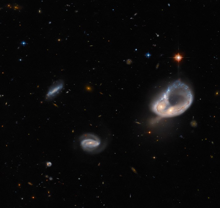 The galaxy merger Arp-Madore 417-391 steals the spotlight in this image from the NASA/ESA Hubble Space Telescope. The Arp-Madore catalog is a collection of particularly peculiar galaxies spread throughout the southern sky, and includes a collection of subtly interacting galaxies as well as more spectacular colliding galaxies. Arp-Madore 417-391, which lies around 670 million light-years away in the constellation Eridanus in the southern celestial hemisphere, is one such galactic collision. The two galaxies were distorted by gravity and twisted into a colossal ring, leaving their cores nestled side by side.