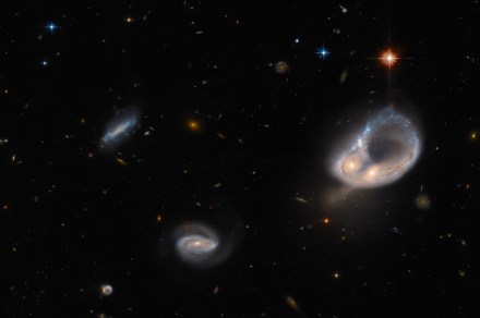 Hubble captures a pair of galaxies merging into an unusual ring shape