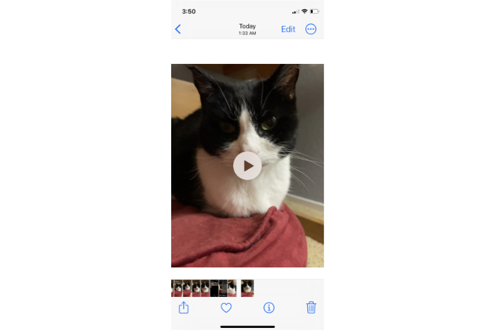 how to turn a live photo into video ios 16 3