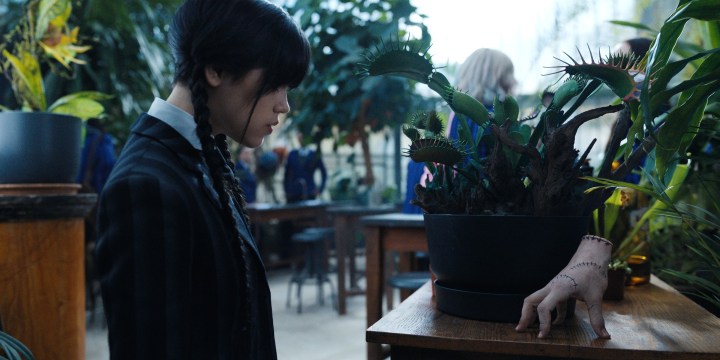 Jenna Ortega, as Wednesday Addams, stares at the disembodied hand, Thing, in a scene from Wednesday.