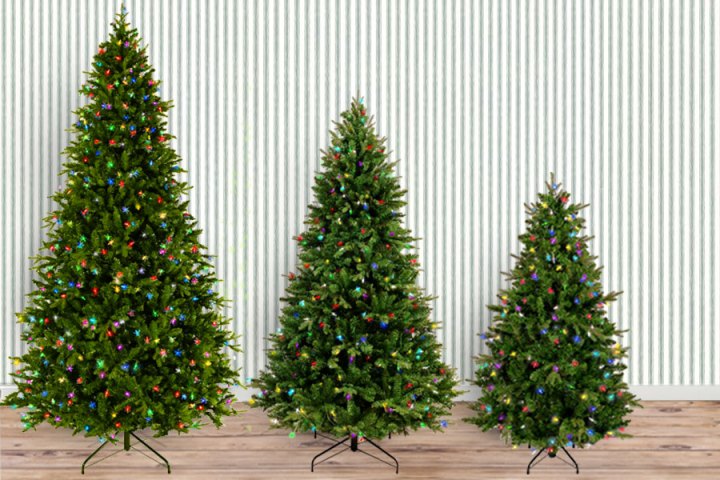 Three Mr. Christmas smart trees of varying sizes standing next to a wall. 