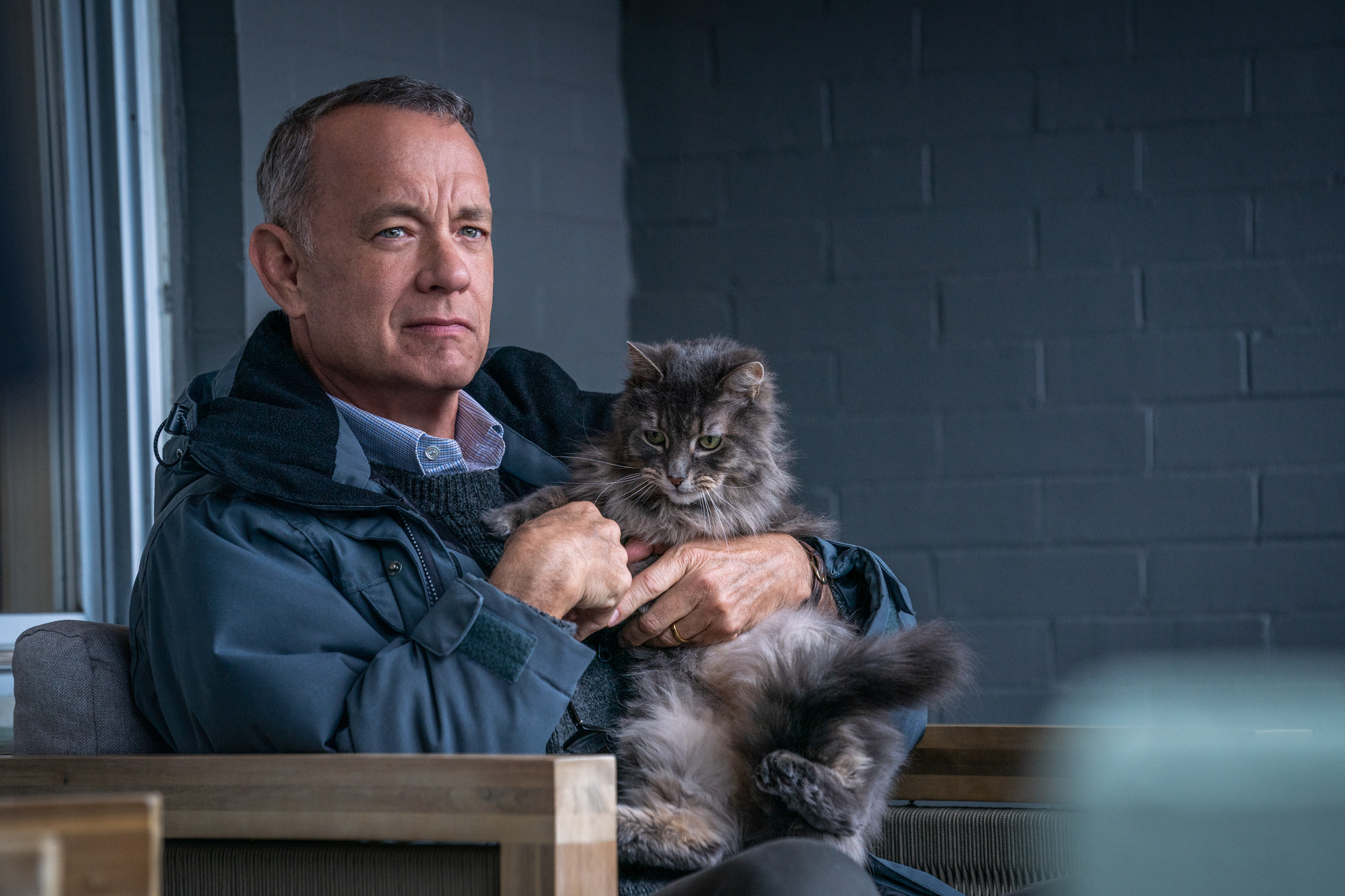 Tom Hanks menggendong seekor kucing di A Man Called Otto.