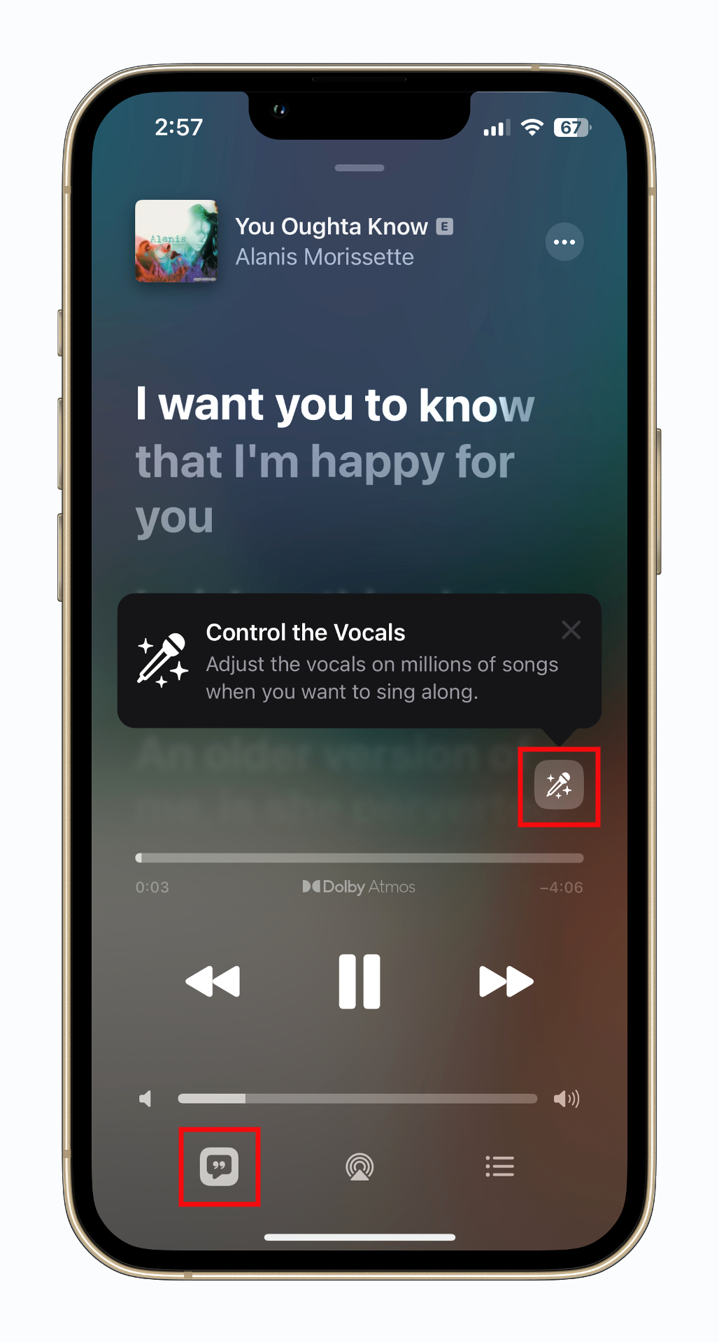 با استفاده از Apple Music Sing آهنگی را پخش کنید.