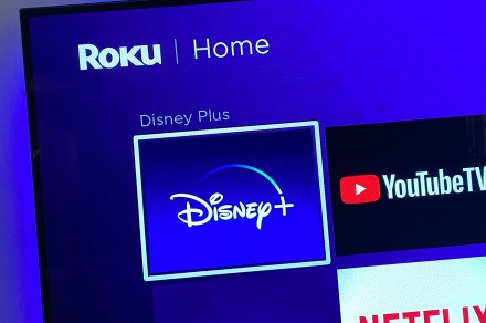 Disney+ launches cheaper plan with ads — but not on Roku