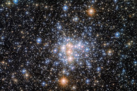 Our galactic companion, the Small Magellanic Cloud, sparkles in Hubble image