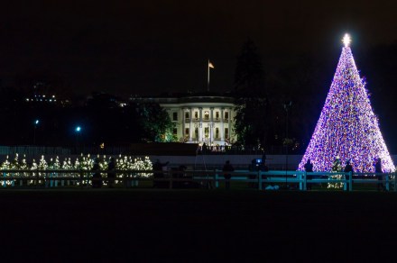 Where to watch the 2022 National Christmas Tree Lighting Ceremony for free