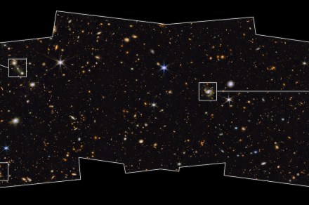 James Webb survey image shows a field of shining galaxies