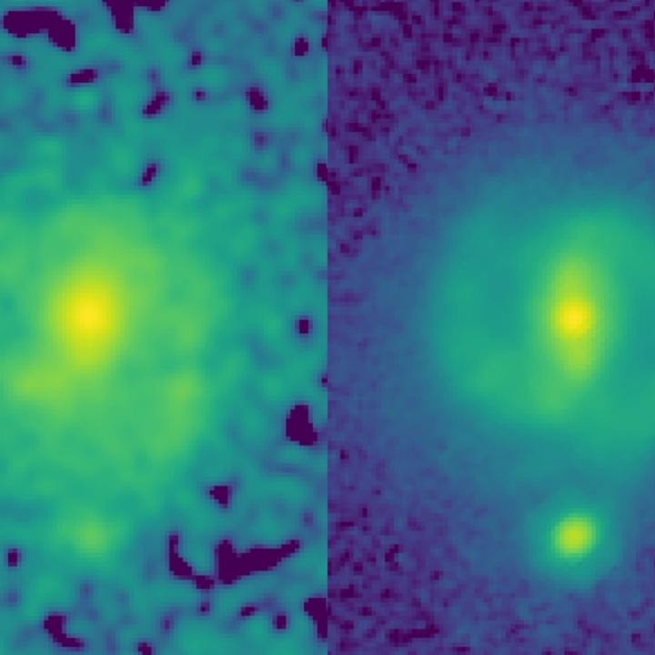 Die Fähigkeit von JWST, Galaxien mit hoher Auflösung und längeren Infrarotwellenlängen als Hubble zu kartieren, ermöglicht es ihm, durch Staub zu blicken und die zugrunde liegende Struktur und Masse entfernter Galaxien zu enthüllen.  Dies ist auf diesen beiden Bildern der Galaxie EGS23205 zu sehen, wie sie vor etwa 11 Milliarden Jahren aussah.  Auf dem HST-Bild (links, aufgenommen mit dem Nahinfrarotfilter) ist die Galaxie kaum mehr als ein scheibenförmiger Fleck, der von Staub verdeckt und vom Glanz junger Sterne beeinflusst wird, aber auf dem entsprechenden JWST-Mittelinfrarotbild (aufgenommen letzten Sommer), ist es eine wunderschöne Spiralgalaxie mit einem klaren Sternbalken. 