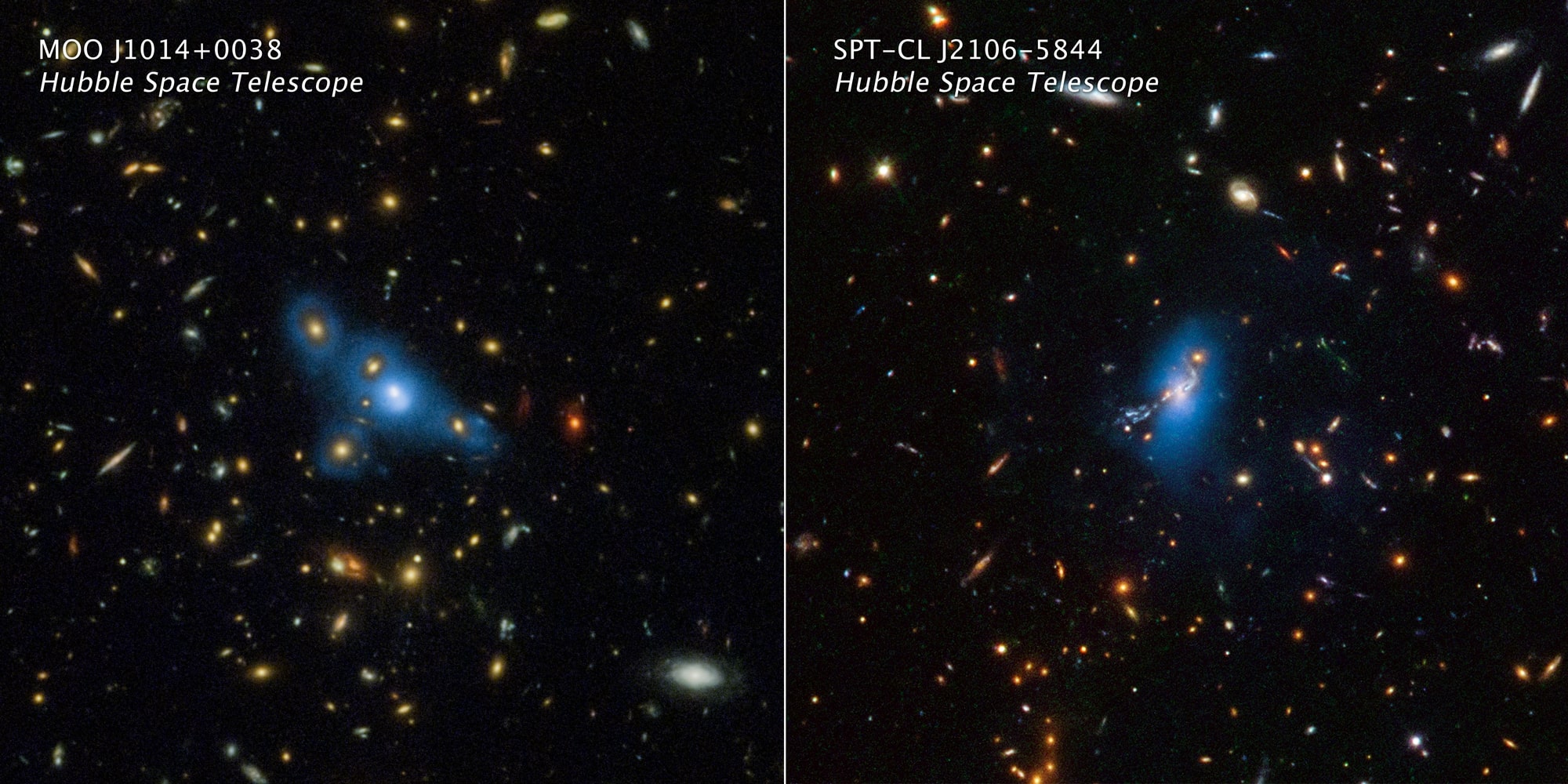 These are Hubble Space Telescope images of two massive clusters of galaxies named MOO J1014+0038 (left panel) and SPT-CL J2106-5844 (right panel). The artificially added blue color is translated from Hubble data that captured a phenomenon called intracluster light. This extremely faint glow traces a smooth distribution of light from wandering stars scattered across the cluster. Billions of years ago the stars were shed from their parent galaxies and now drift through intergalactic space.
