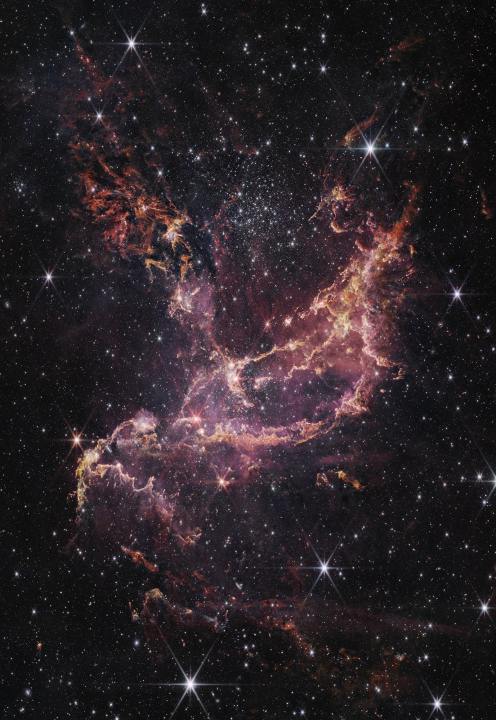 NGC 346, que se muestra aquí en esta imagen de la Cámara de Infrarrojo Cercano del Telescopio Espacial James Webb (NIRCam) de la NASA, es un cúmulo estelar dinámico que se encuentra dentro de una nebulosa a 200.000 años luz de distancia. Webb revela la presencia de muchos más bloques de construcción de lo que se esperaba, no solo para las estrellas, sino también para los planetas, en forma de nubes llenas de polvo e hidrógeno. 