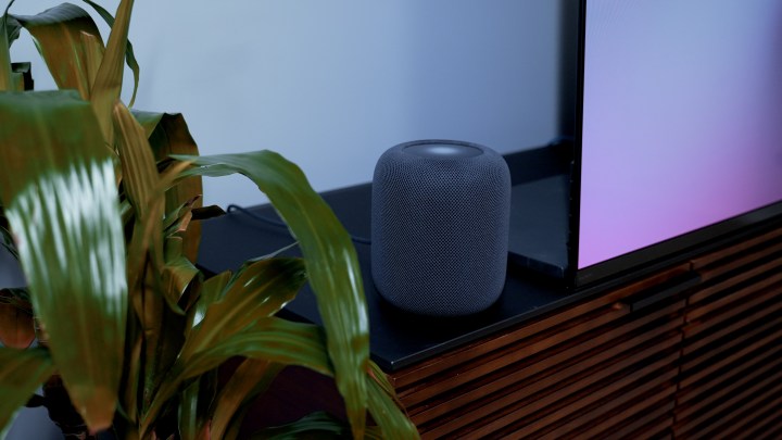Un Apple HomePod 2023 su un supporto multimediale.