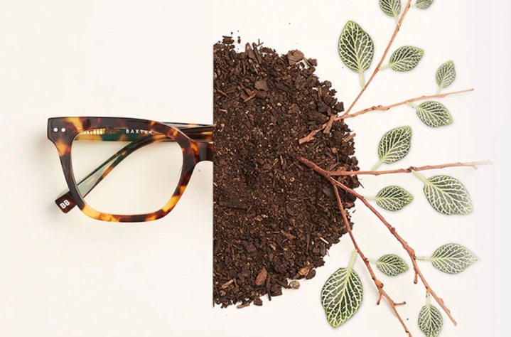 Half glasses, half soil with leaves shooting out of it.