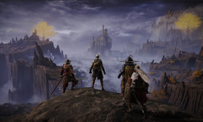 Multiple players look out over a landscape with the Elden Ring co-op mod.