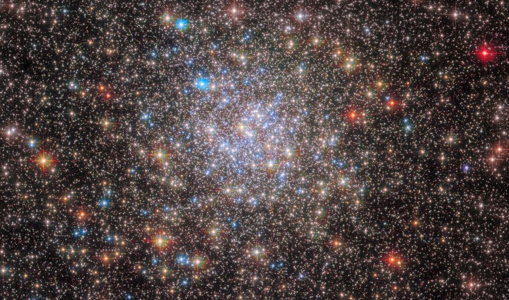 The scattered stars of the globular cluster NGC 6355 are strewn across this image from the NASA/ESA Hubble Space Telescope. 