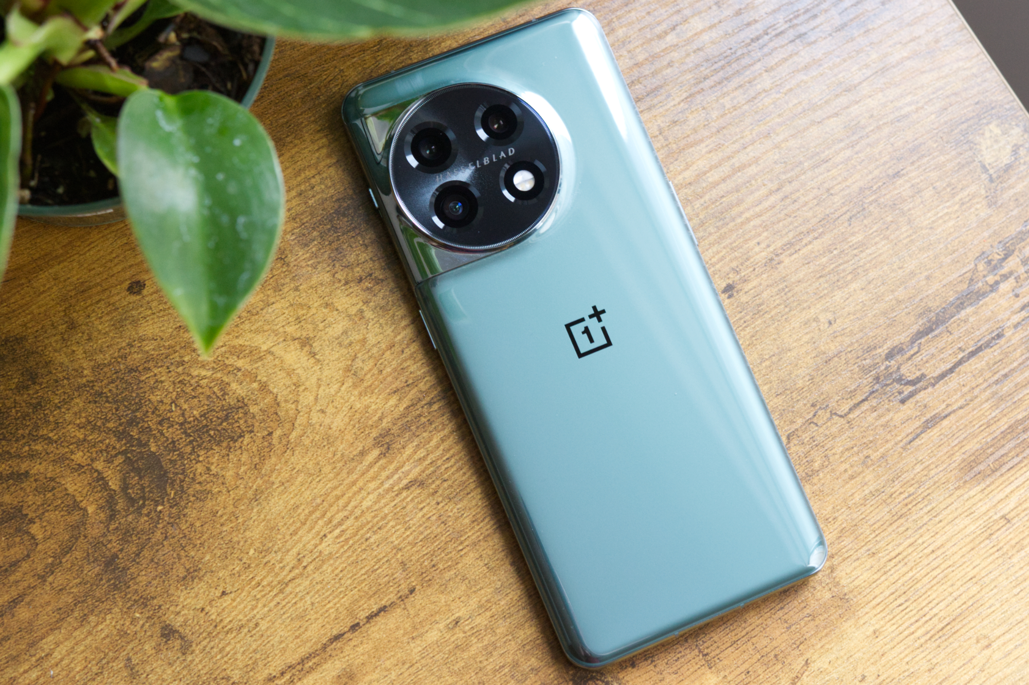 OnePlus 11 (in green) lying face-down on a desk.
