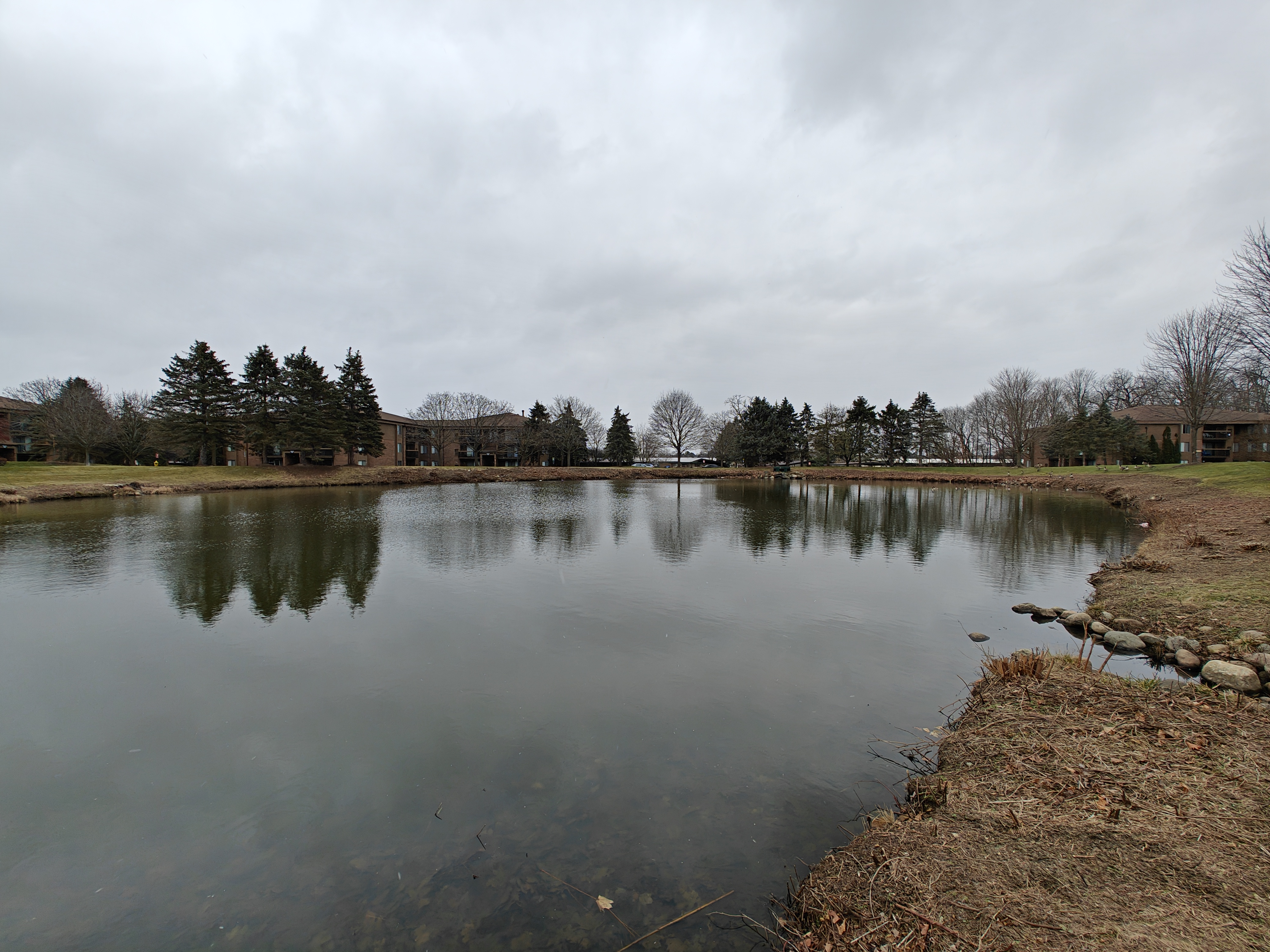 Photo of a pond with an overcast sky in the background.