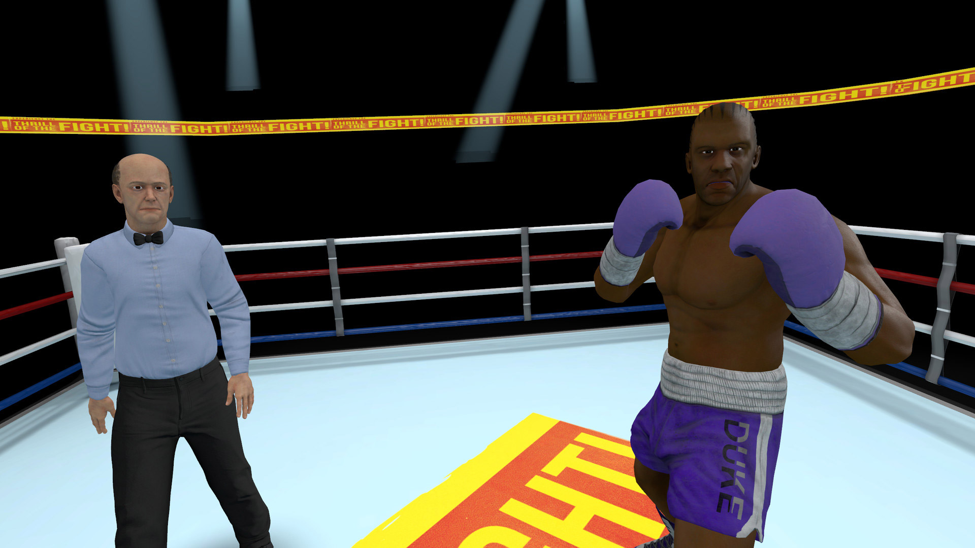 Captura de tela do jogo Thrill of the Fight.