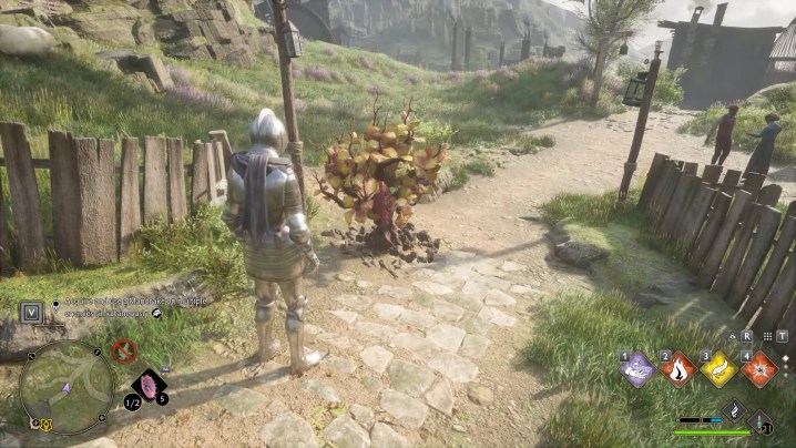 A man in armor next to a mandrake plant.