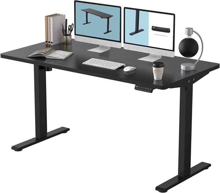 Flexispot EN1B standing desk.