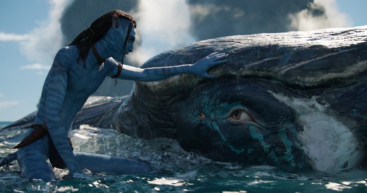 An alien pets a whale in Avatar: The Way of Water.
