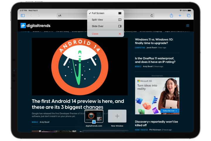 Safari on iPad showing the multitasking view menu.