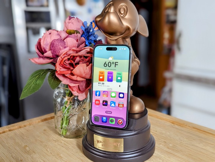 آیفون 14 پرو با صفحه اصلی نگهدارنده تلفن میکی موس شخصی شده در کنار گل