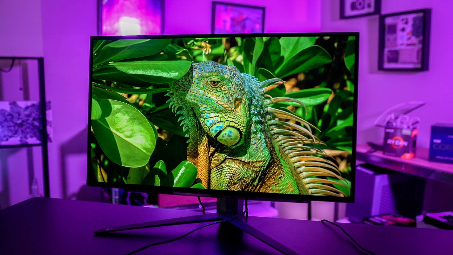 A lizard on the LG UltraGear OLED 27.