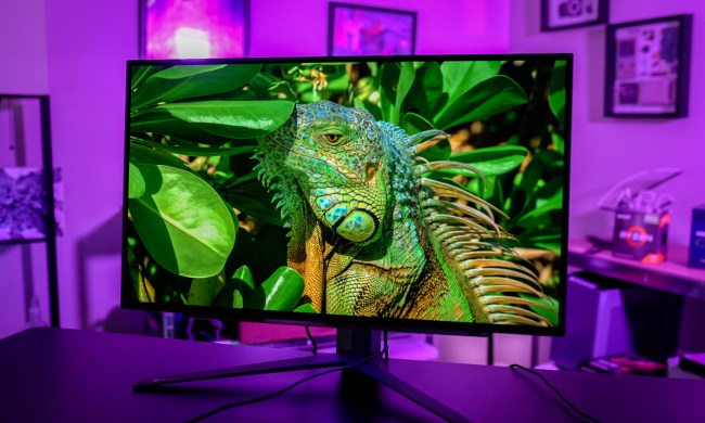A lizard on the LG UltraGear OLED 27.