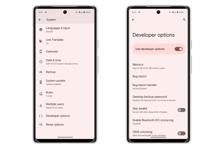 Access developer options in Android 13 on a Pixel 6.