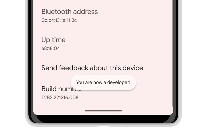 Android 13 on a Pixel 6 showing developer mode enabled.