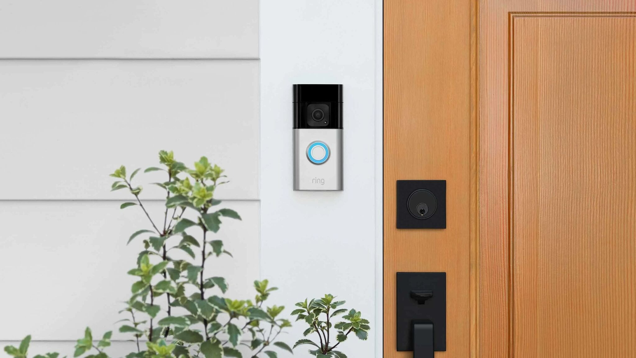 Ring Battery Doorbell Pro vs. Ring Battery Doorbell Plus - Vimarsana News