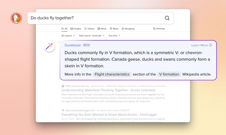 Инструмент DuckAssist в веб-браузере DuckDuckGo, показывающий результат поиска со сводкой ответов, созданной ИИ, вверху.
