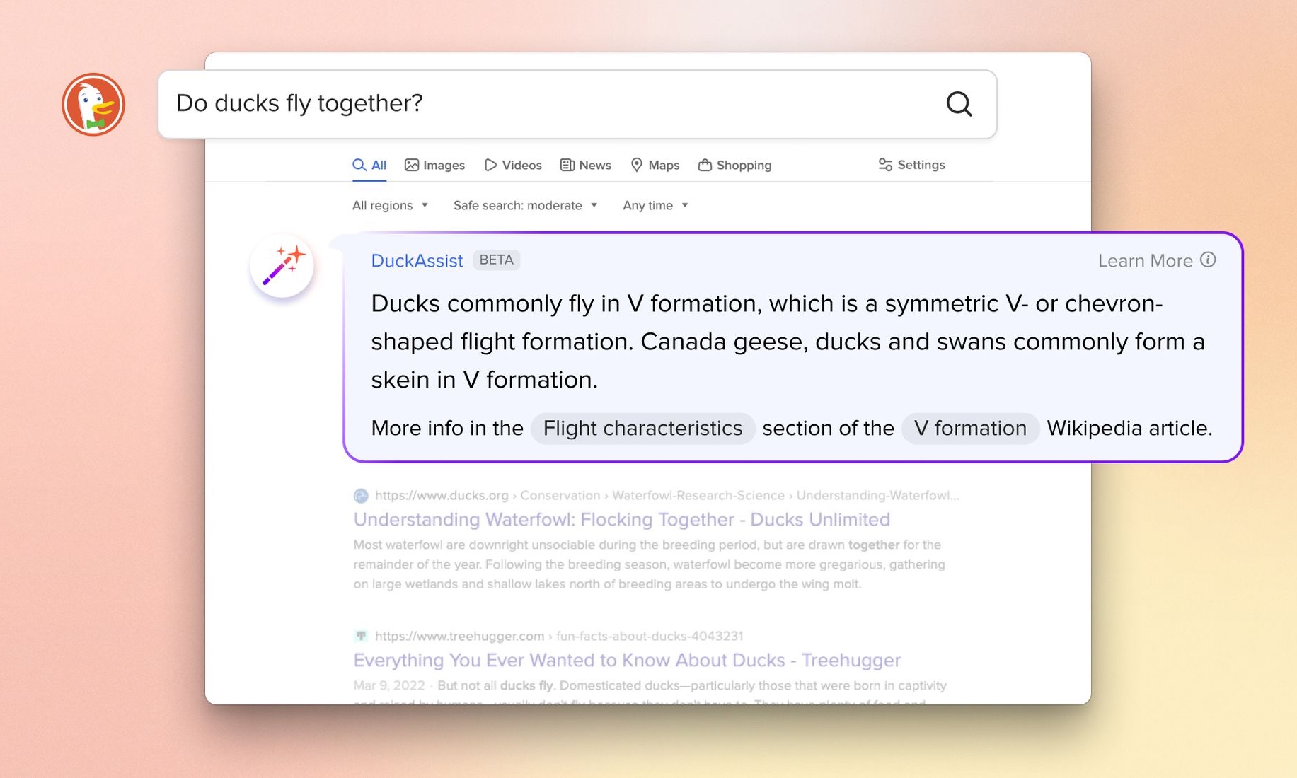 ابزار DuckAssist در مرورگر وب DuckDuckGo یک نتیجه جستجو را با خلاصه‌ای ایجاد شده توسط هوش مصنوعی در بالا نشان می‌دهد.