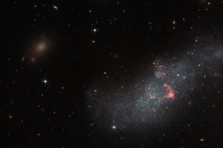A small, fuzzy dwarf galaxy in our neighborhood captured by Hubble
