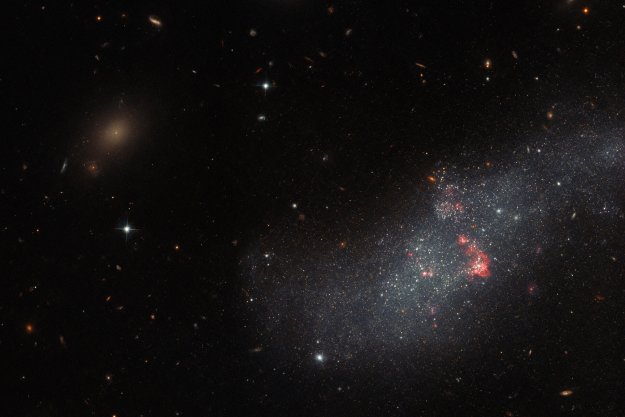 technology trends UGCA 307 hangs against an irregular backdrop of distant galaxies in this image from the NASA/ESA Hubble Space Telescope. The small galaxy consists of a diffuse band of stars containing red bubbles of gas that mark regions of recent star formation, and lies roughly 26 million light-years from Earth in the constellation Corvus. Appearing as just a small patch of stars, UGCA 307 is a diminutive dwarf galaxy without a defined structure — resembling nothing more than a hazy patch of passing cloud.