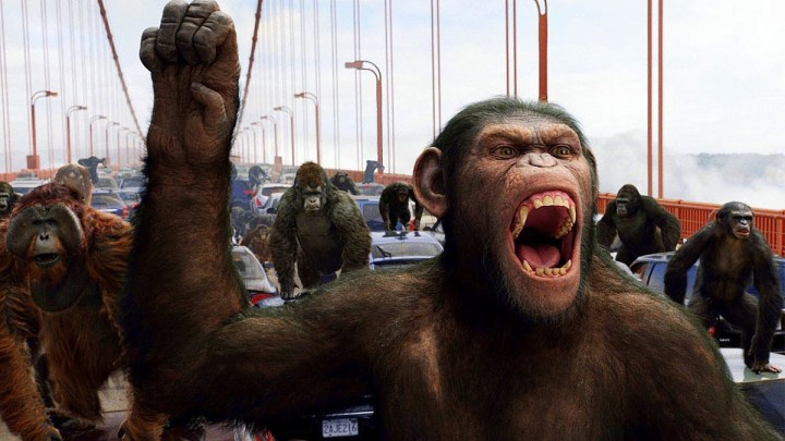 A battle from Rise of the Planet of the Apes.