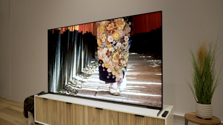 An intricately floral-patterned garment shown on a Sony X95L LCD TV.