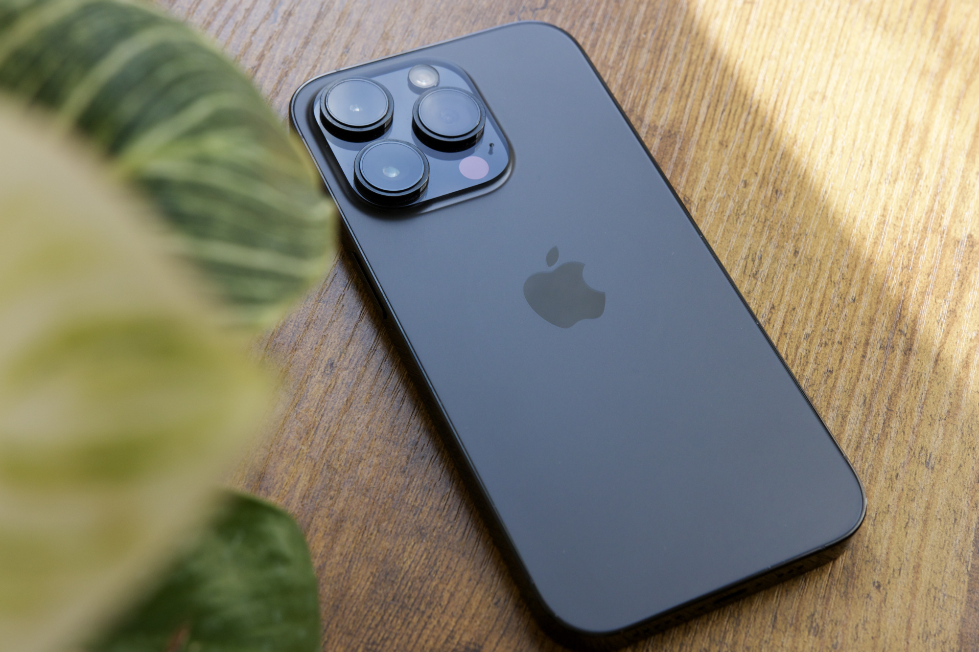 Apple's New iPhone 14 Pro and iPhone Pro Max Review - Parade