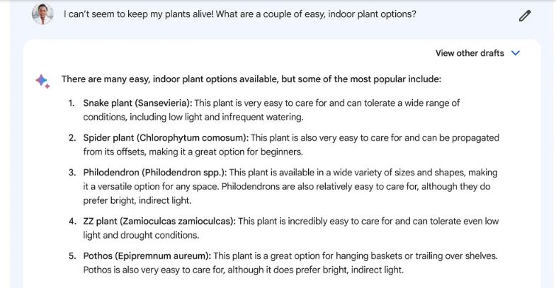Google Bard falando sobre as plantas mais fáceis de manter vivas dentro de casa.