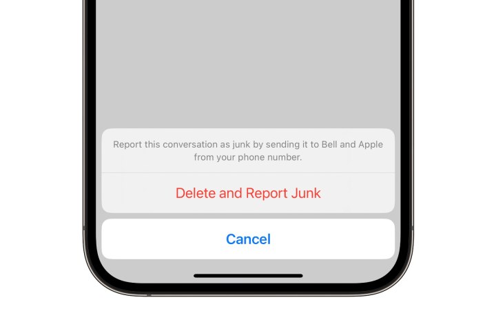 iPhone showing the prompt in Messages to Delete and Report Junk.