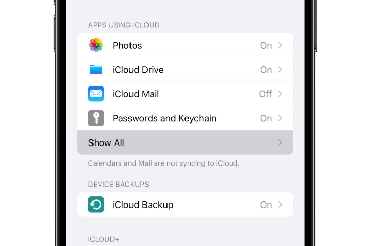 iPhone 14 Pro Max گزینه های iCloud را نشان می دهد.