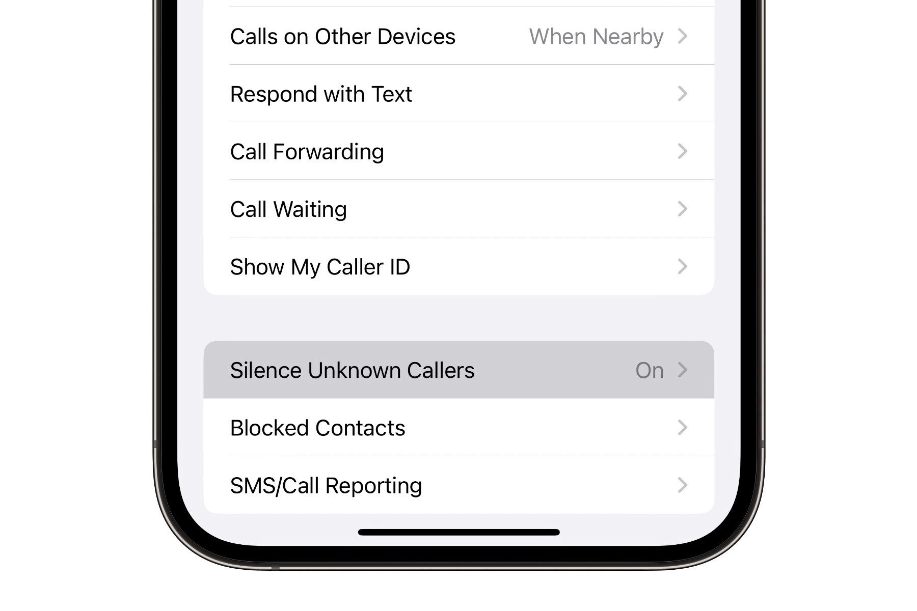 Silence Unknown Callers on iPhone 14 Pro Max.