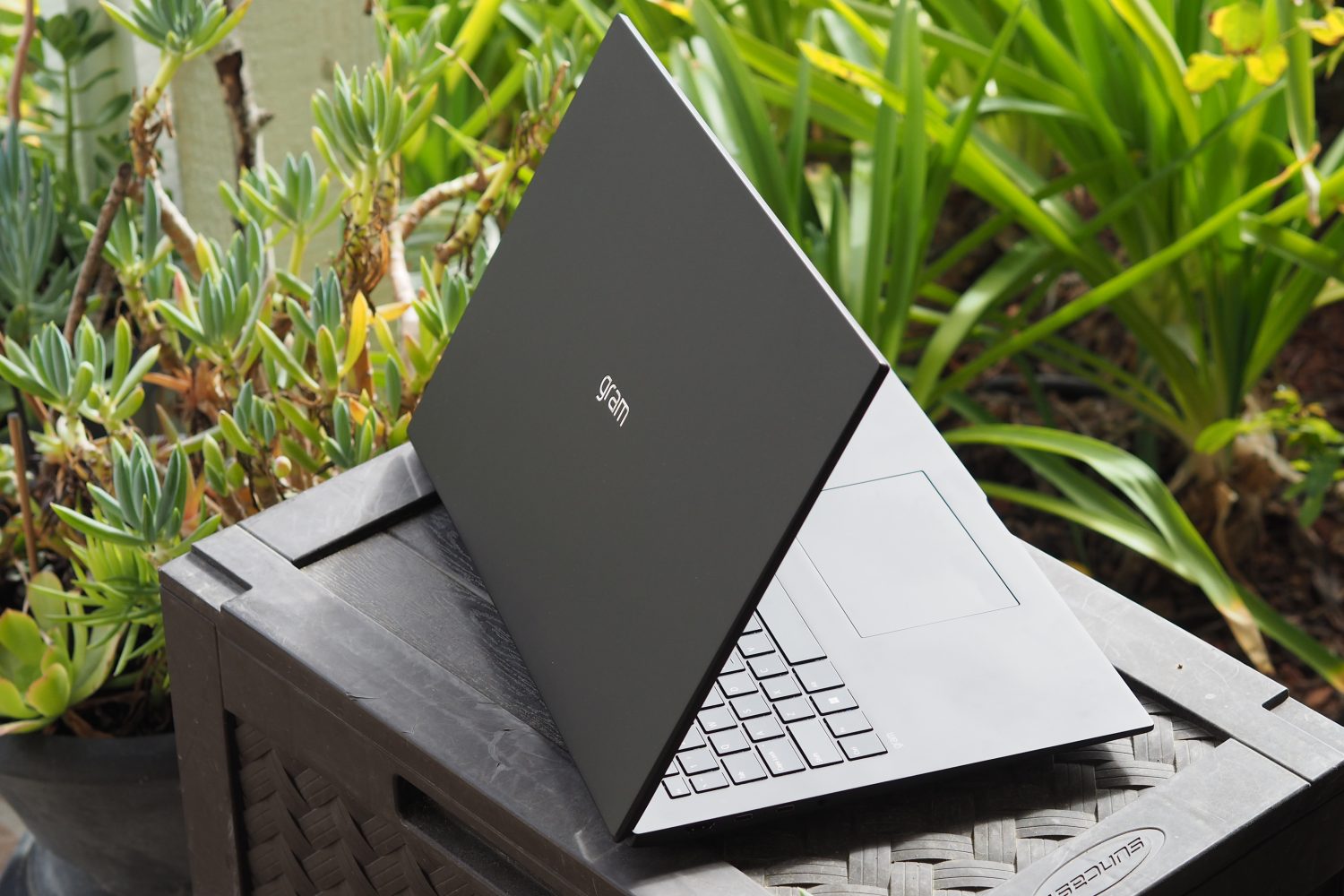 The 5 Best Laptops for Battery Life in 2024