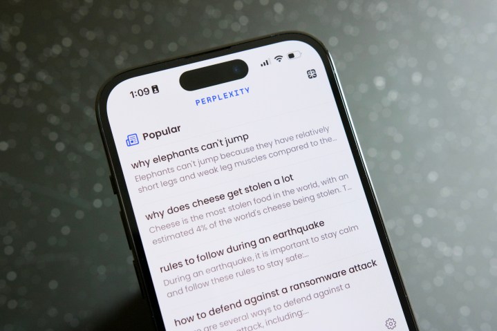 Perplexity AI app running on an iPhone 14 Pro.