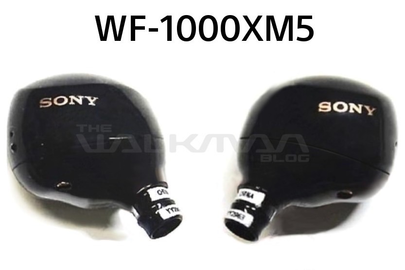 Leaked images suggests Sony WF-1000XM5 will be smaller, rounder