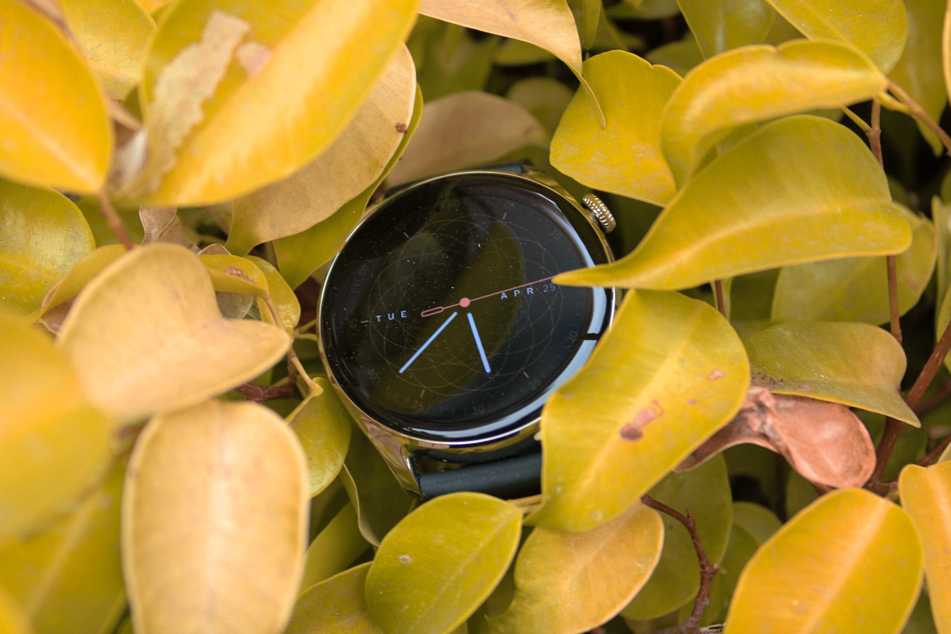 Amazfit GTR 4 LE in yellow leaves.