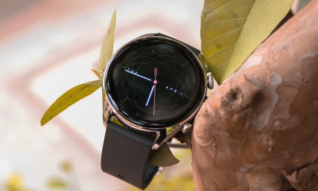 Amazfit GTR 4 LE on a tree branch with screen on.