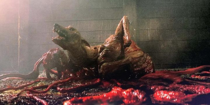 An alien parasite mutates a dog in The Thing