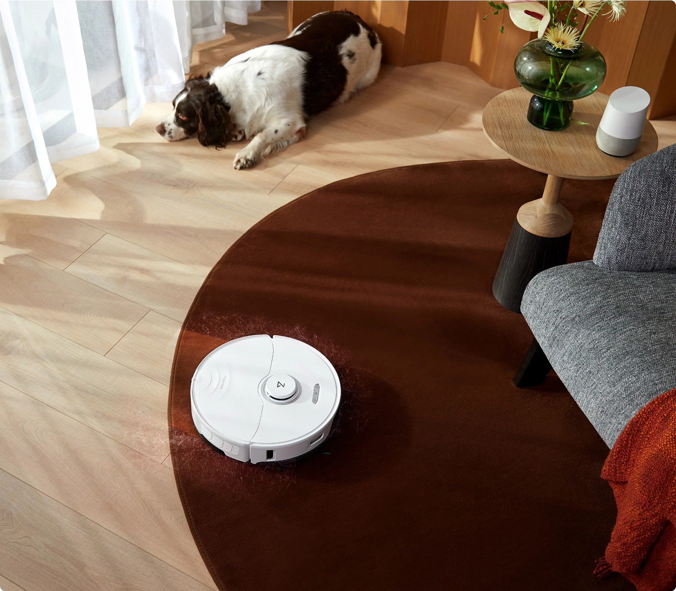 Roomba vs. Roborock: Which smart vacuum is better? - Vimarsana News