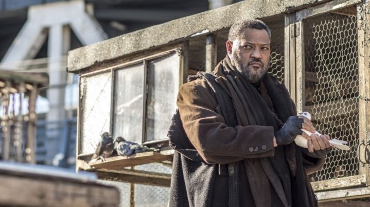 O Bowery King (Laurence Fishburne) segurando um pombo em John Wick: Capítulo 2